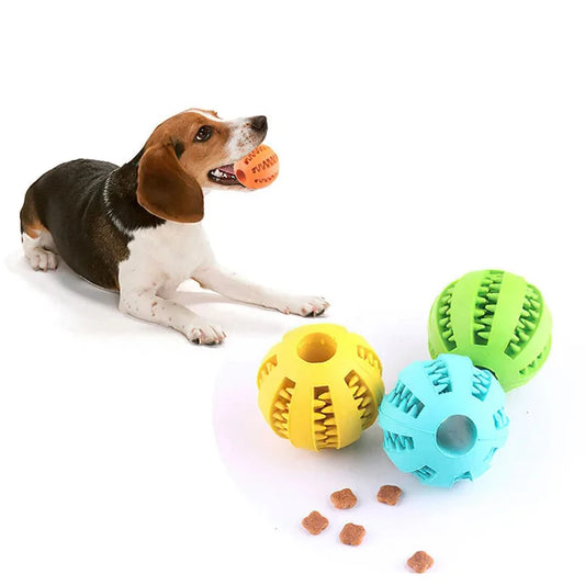 Interactive Treat-Dispensing Dog Ball